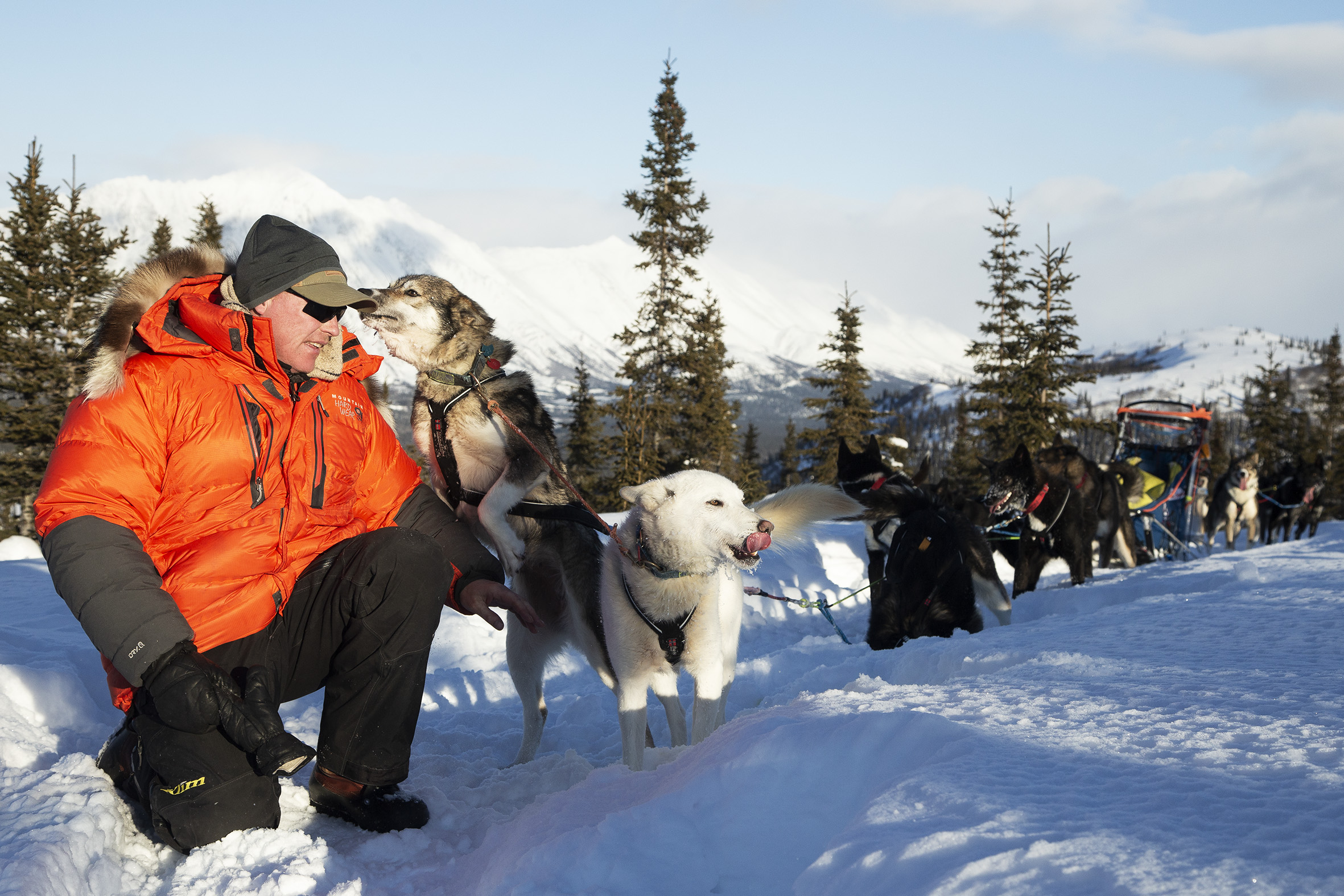 dog sled tour kiruna